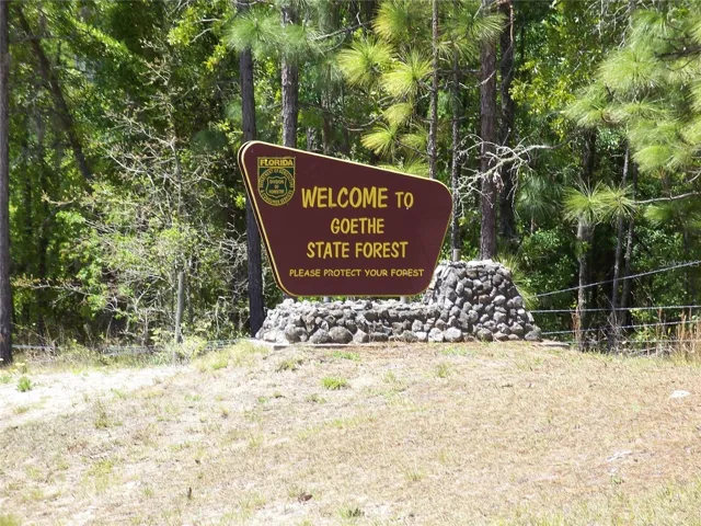 Goethe State Forest