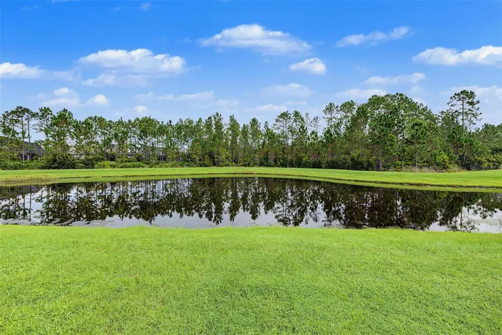 Pond and conservation view