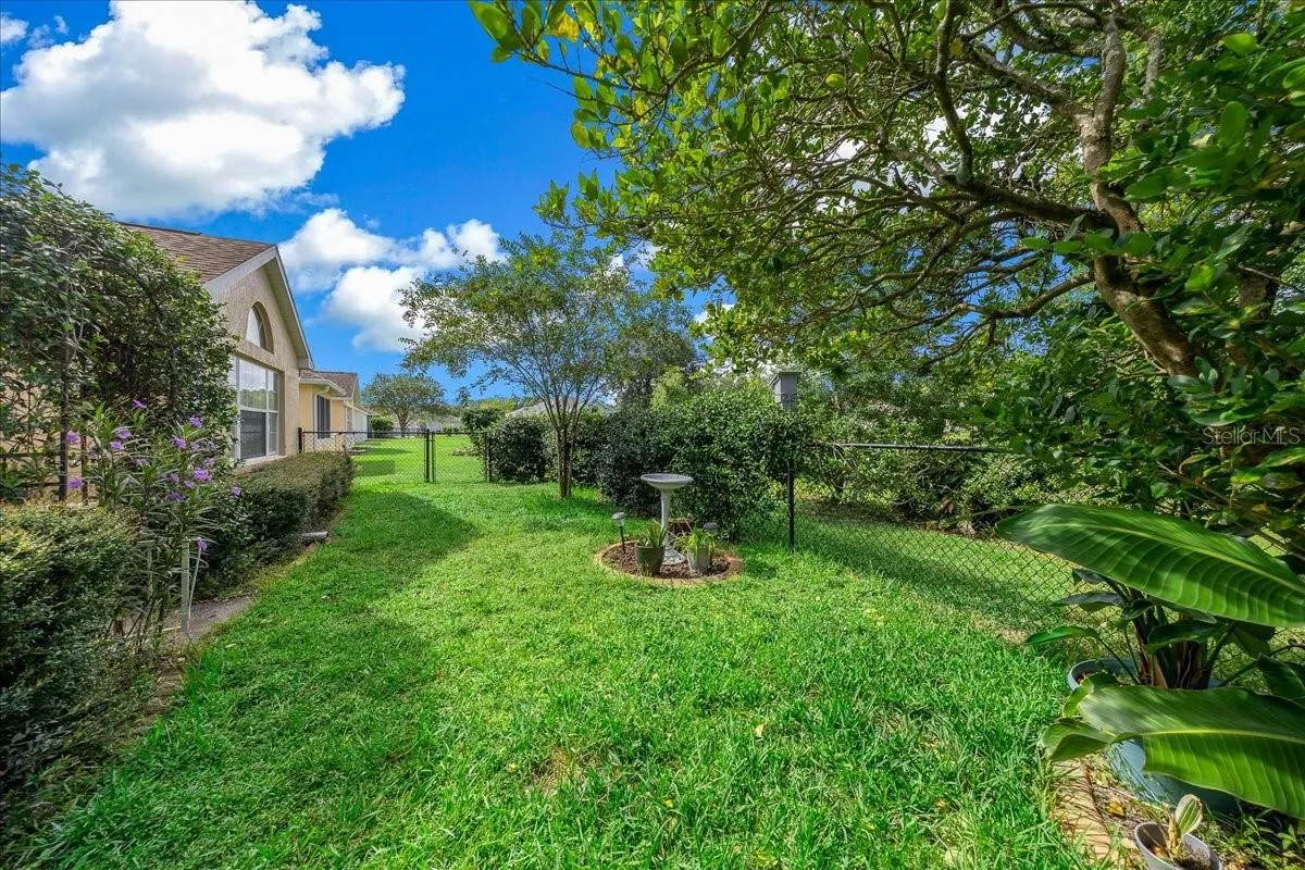 Fenced Backyard