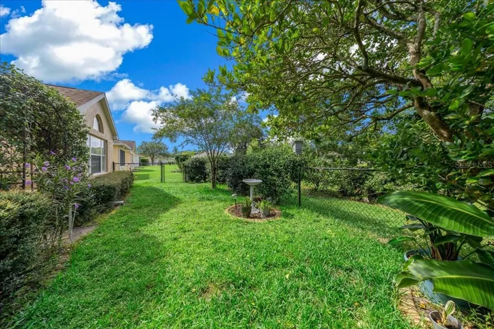Fenced Backyard