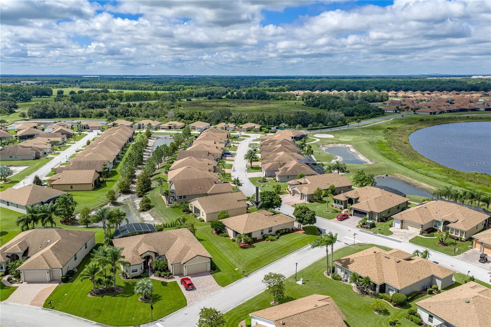 Neighborhood drone view