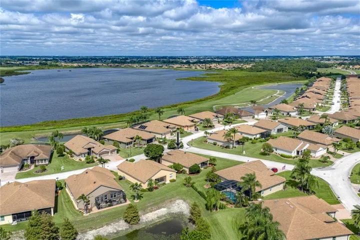 Neighborhood drone view