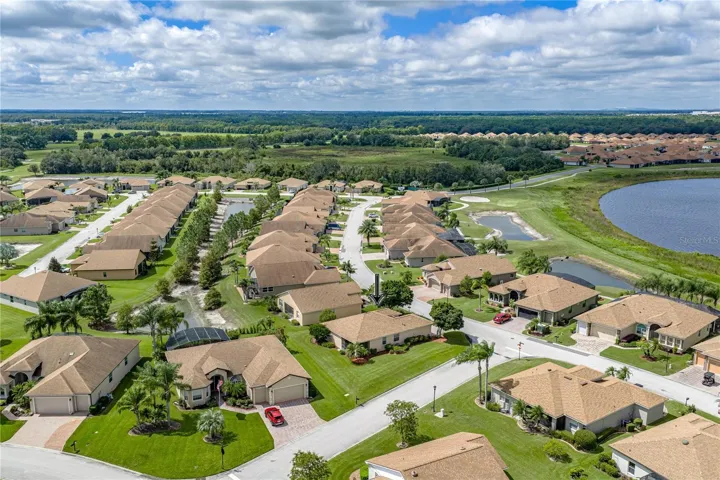 Neighborhood drone view