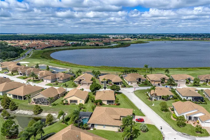 Neighborhood drone view