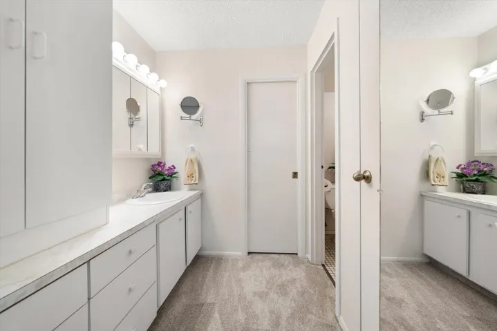 PRIMARY VANITY AREA