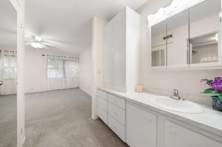 PRIMARY VANITY AREA