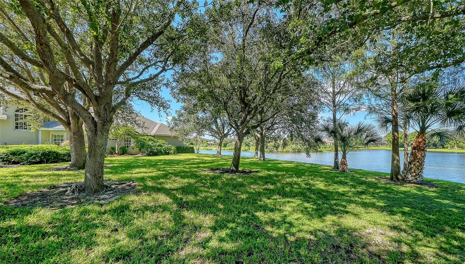 Shaded oak side yard
