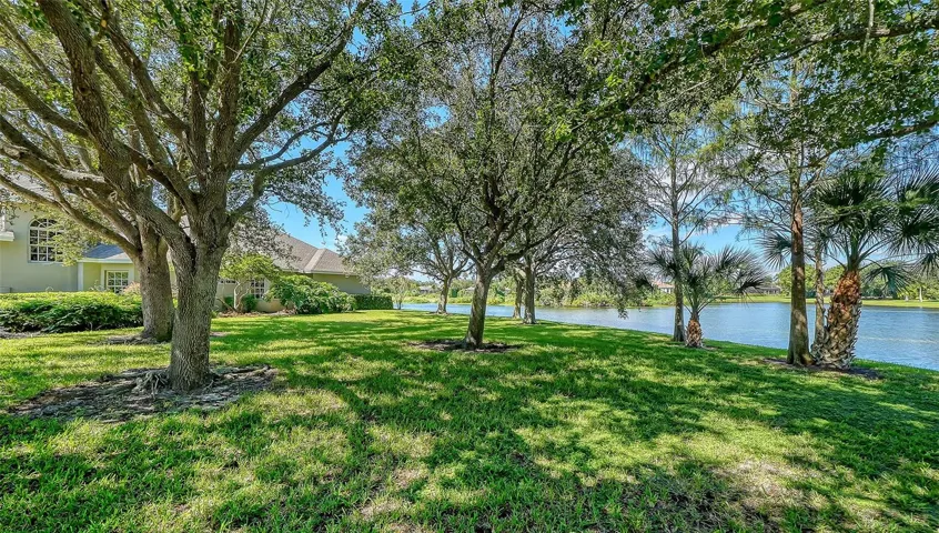 Shaded oak side yard