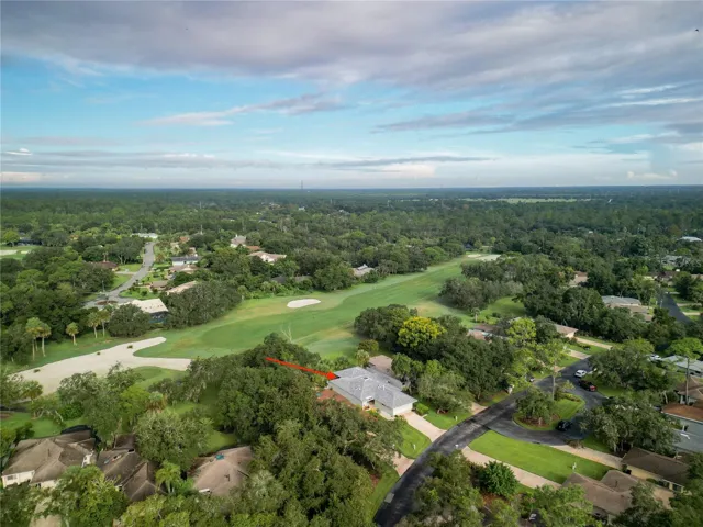 Aerial 1
