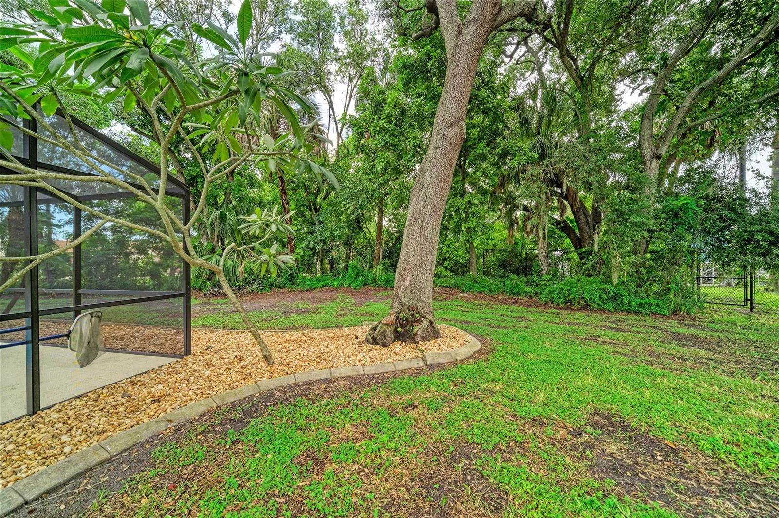 Back Yard 01