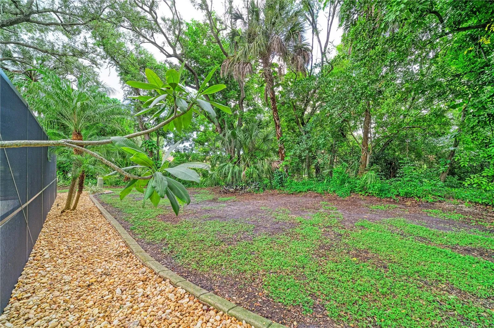 Back Yard 02