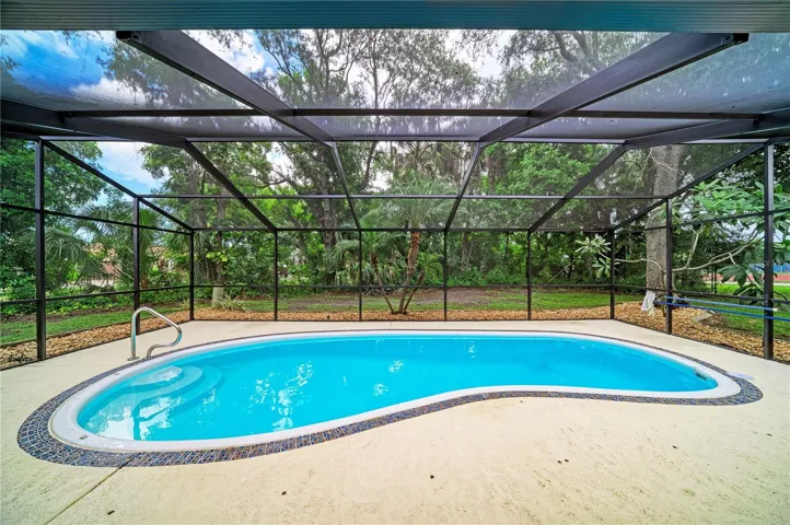 Caged Pool 02