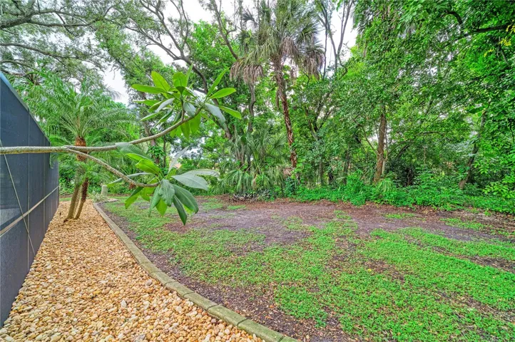 Back Yard 02