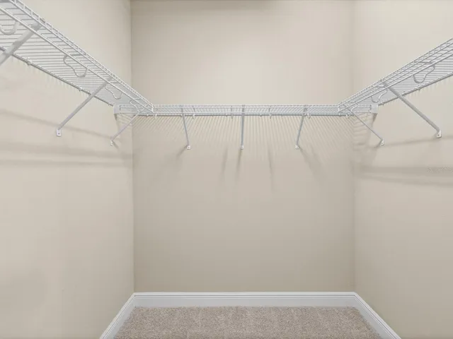 Primary walk-in shower