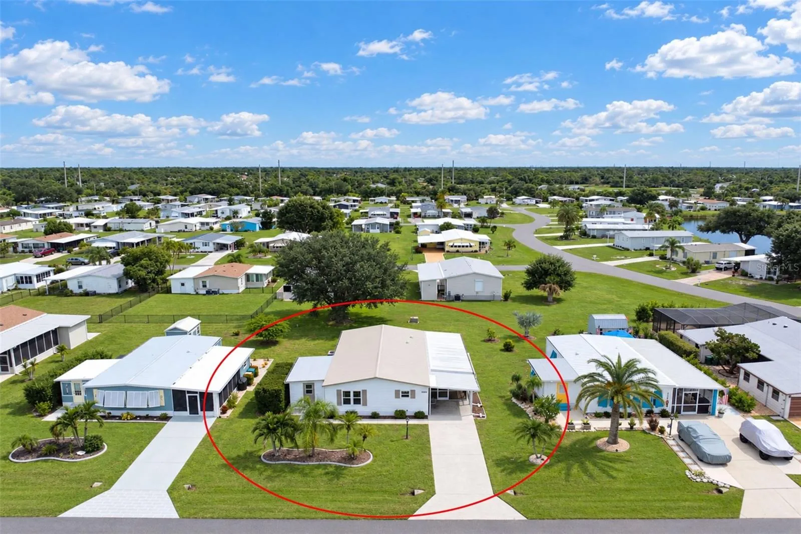 Aerial #6
