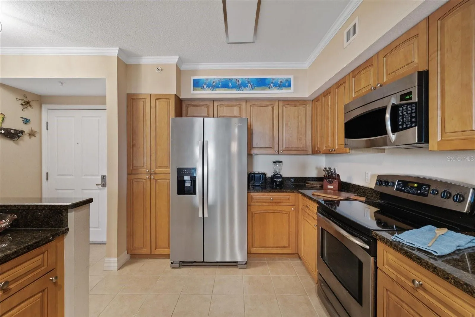 Stainless appliances