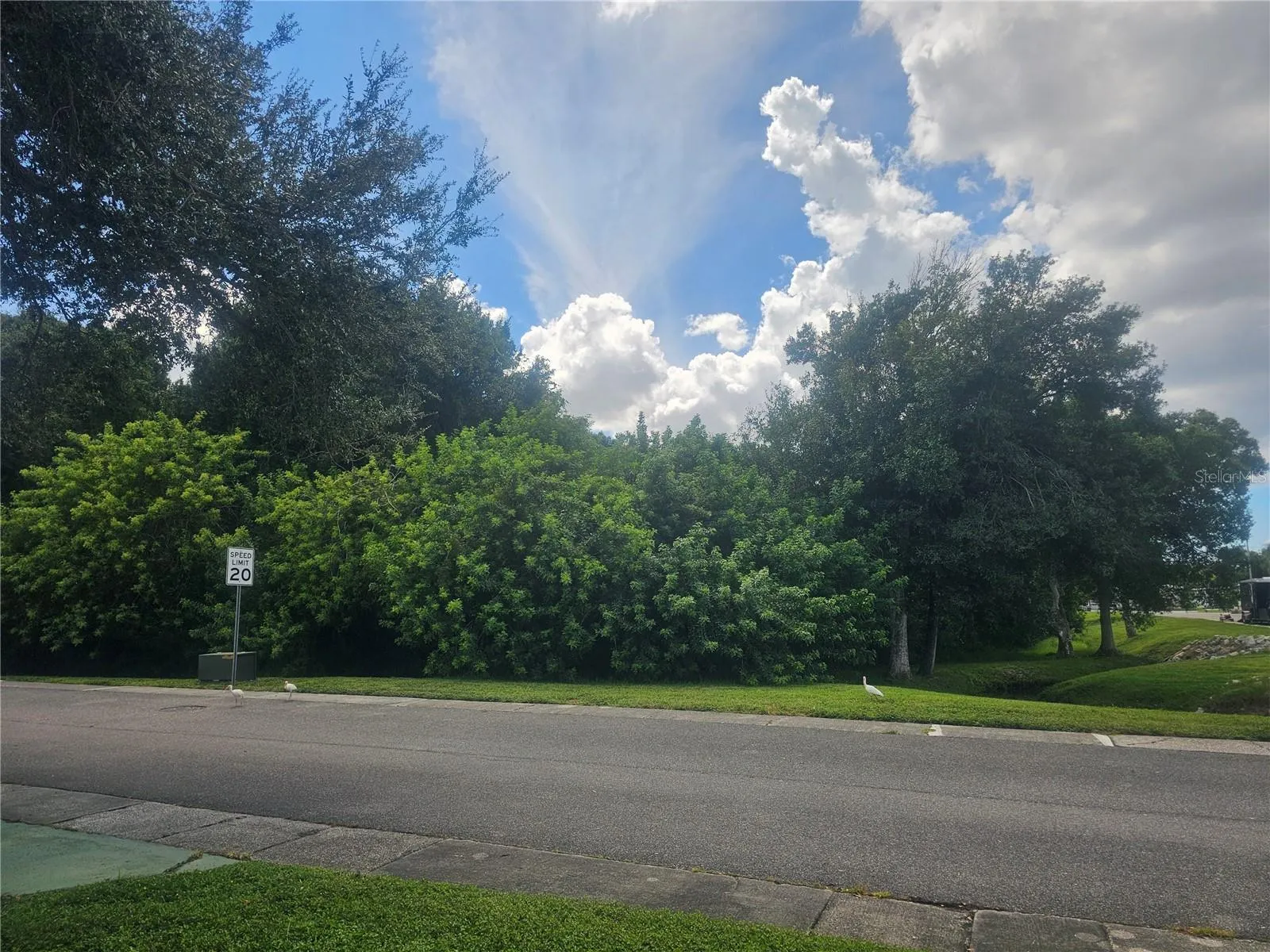 View from Side Porch