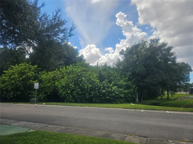 View from Side Porch
