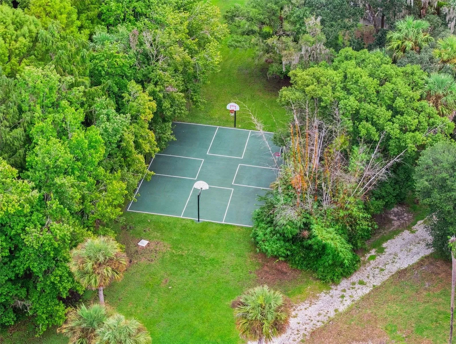 Basketball court