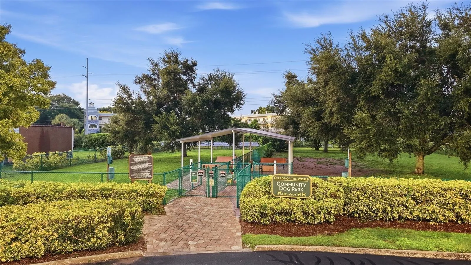 Dog Park