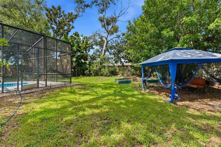 huge backyard