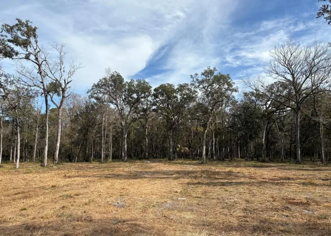 cleared center of the property