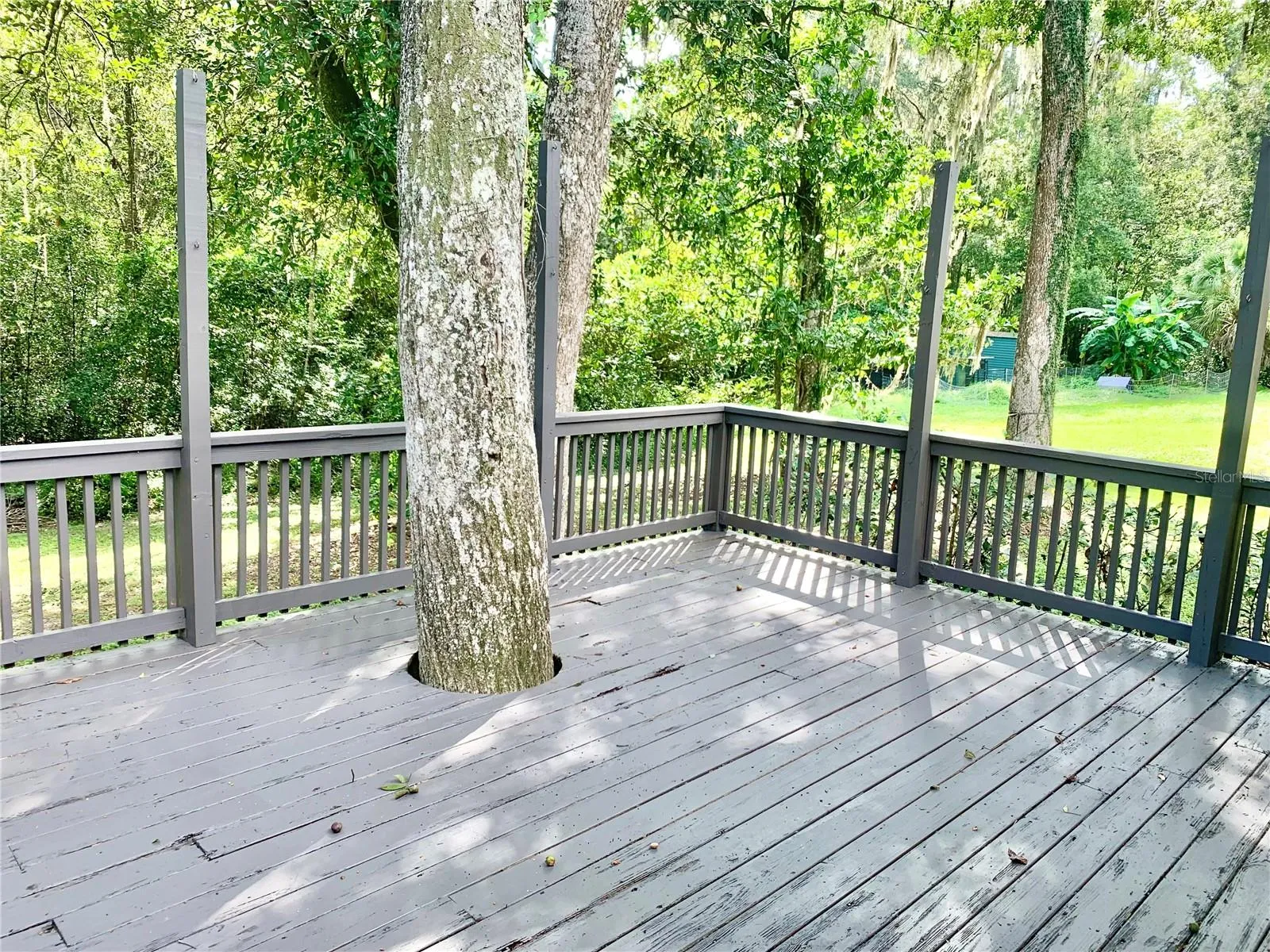 Rear Deck
