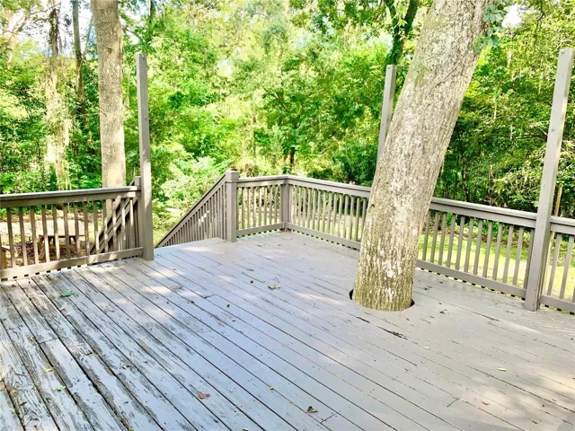 Rear Deck