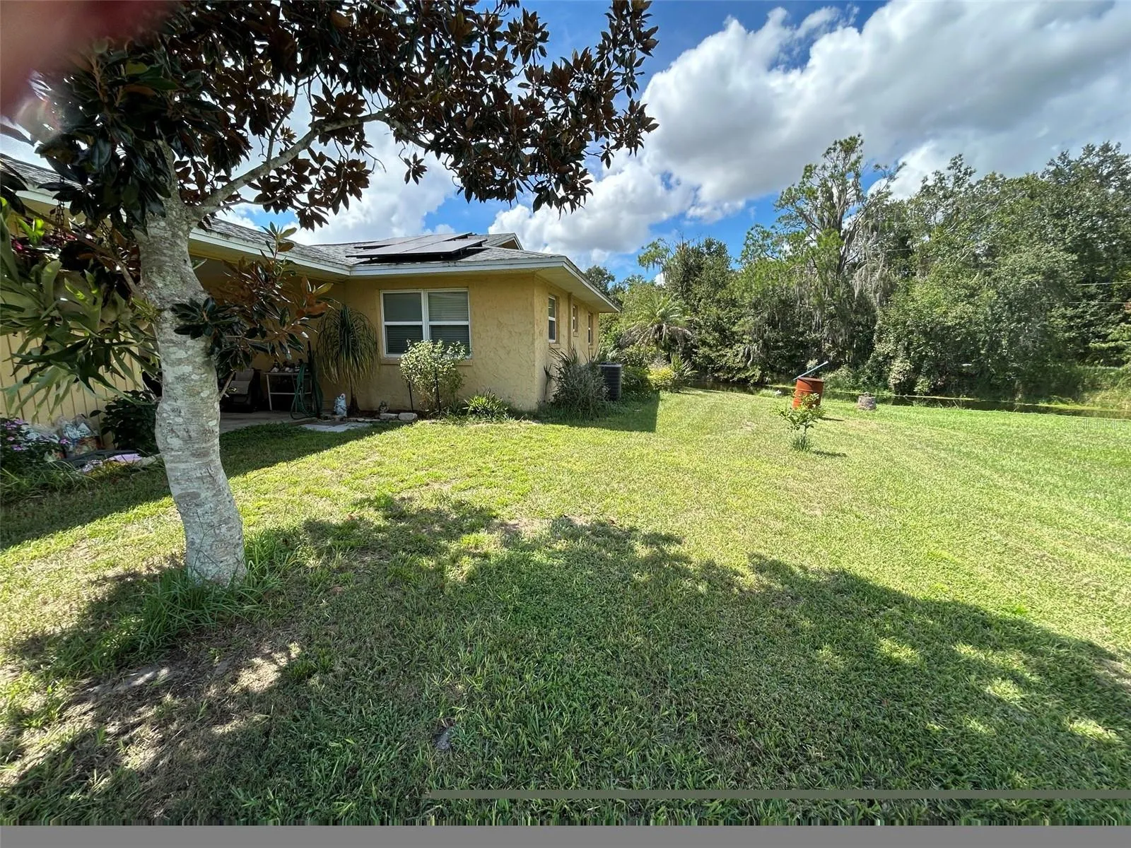 Side Yard