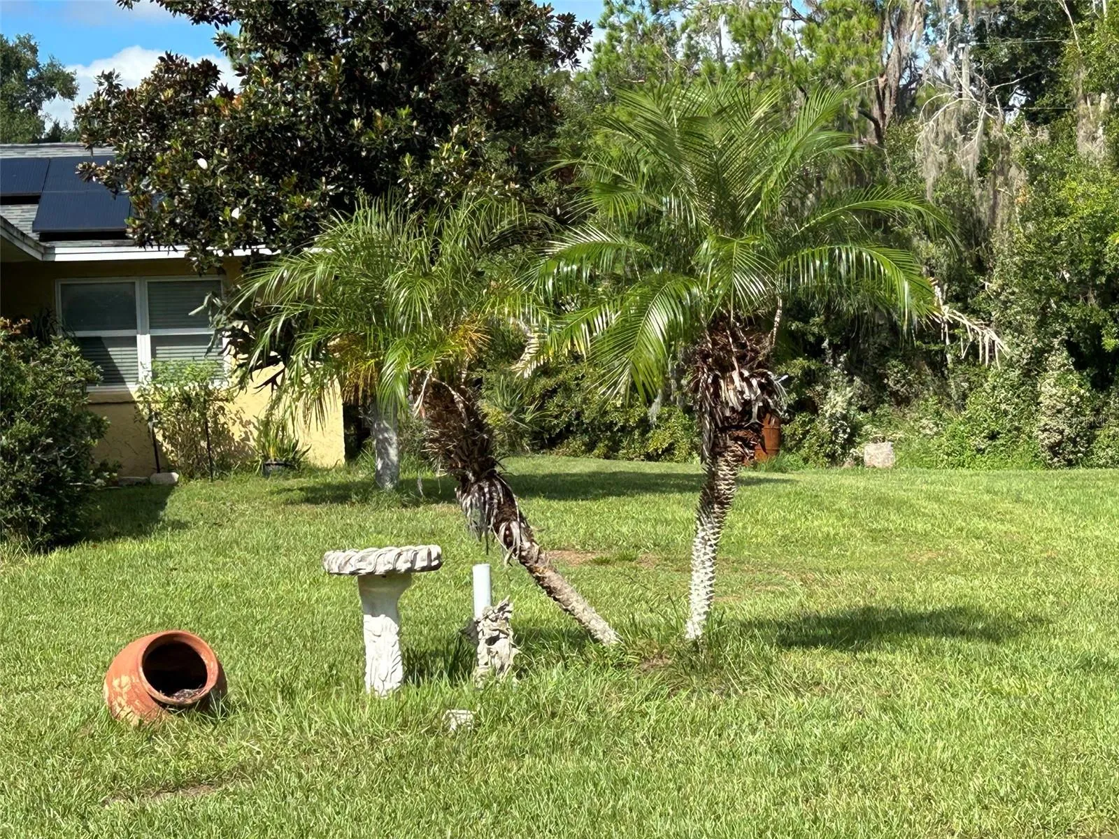 Front Yard