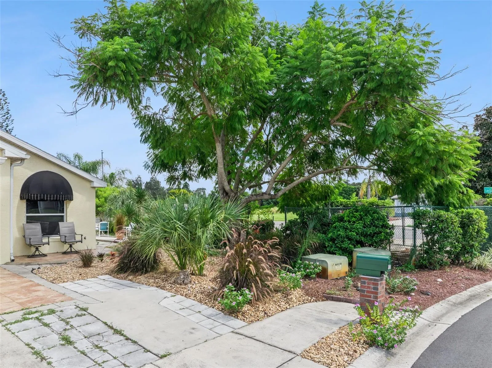 Jacaranda tree and lush landscape plantings
