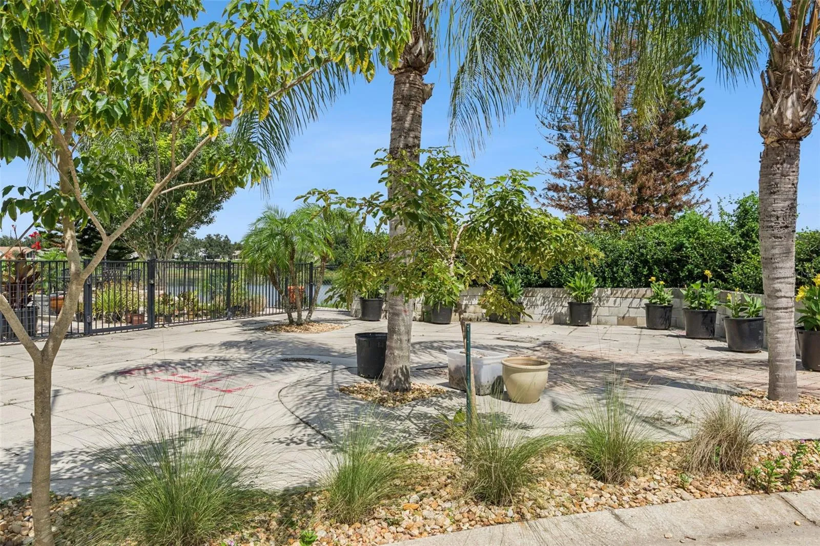 Lovely Trees surround the property
