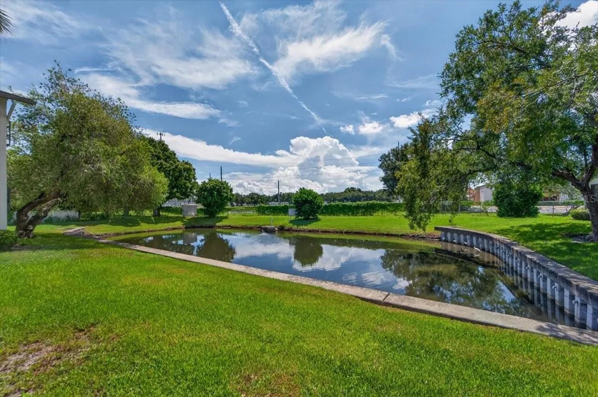 Pond
