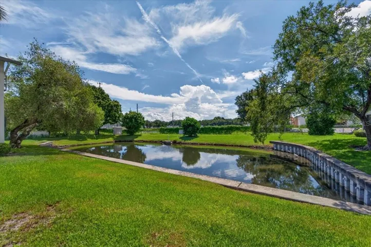 Pond