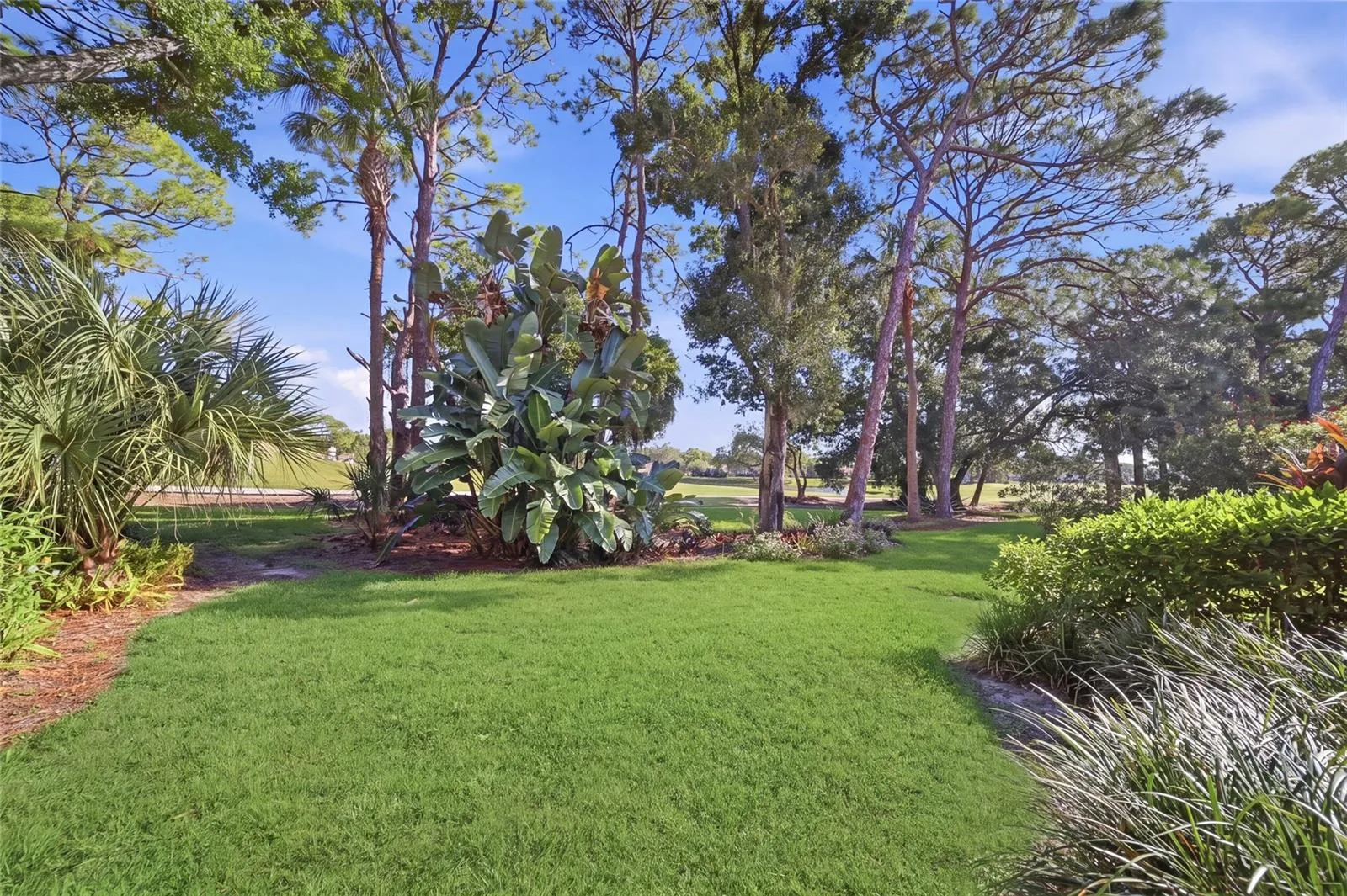 Spacious backyard and lawn looking out to the golf course