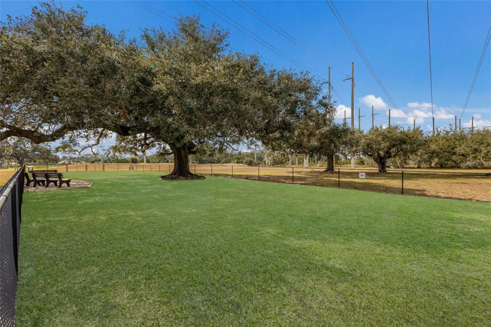 Meadows amenities