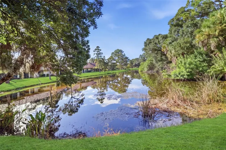 Scenic water and greenbelt views from the front