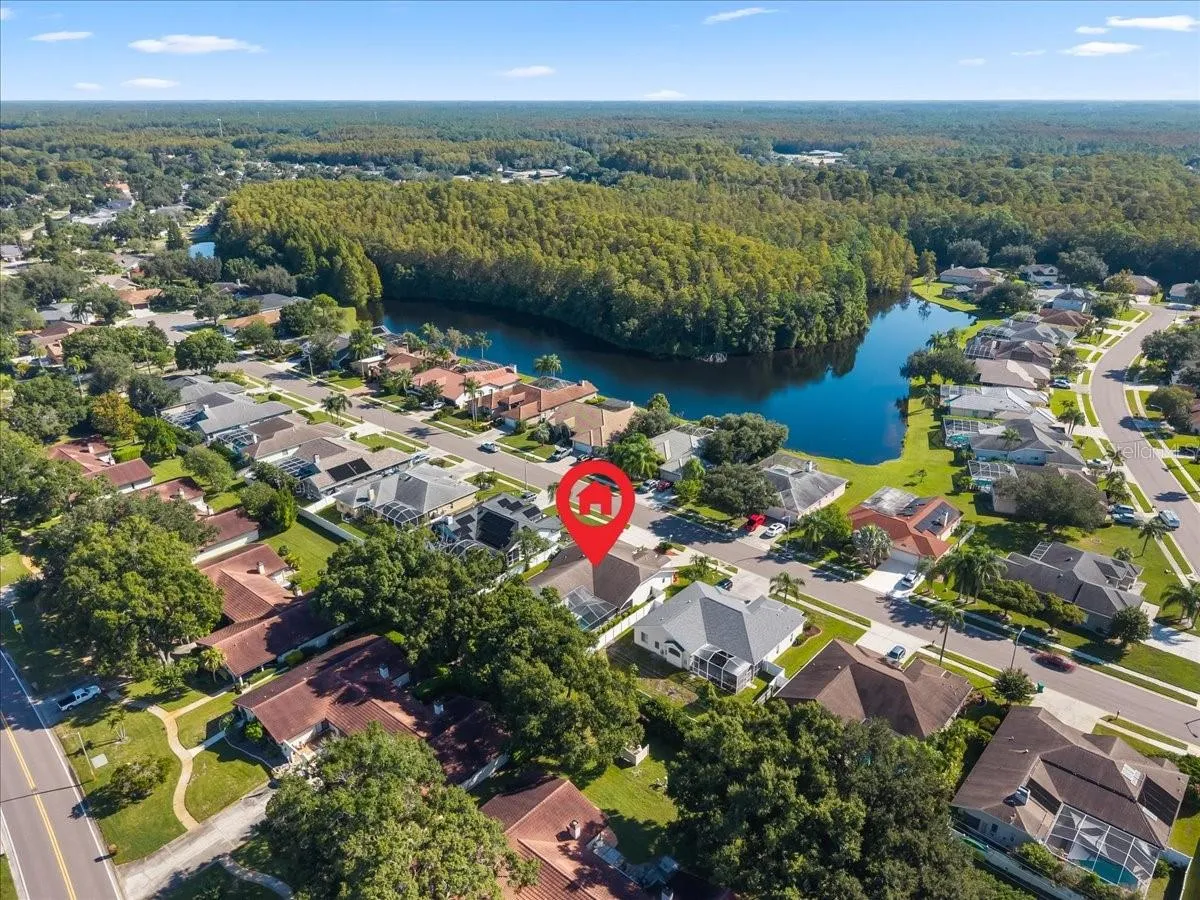 Aerial Rear View