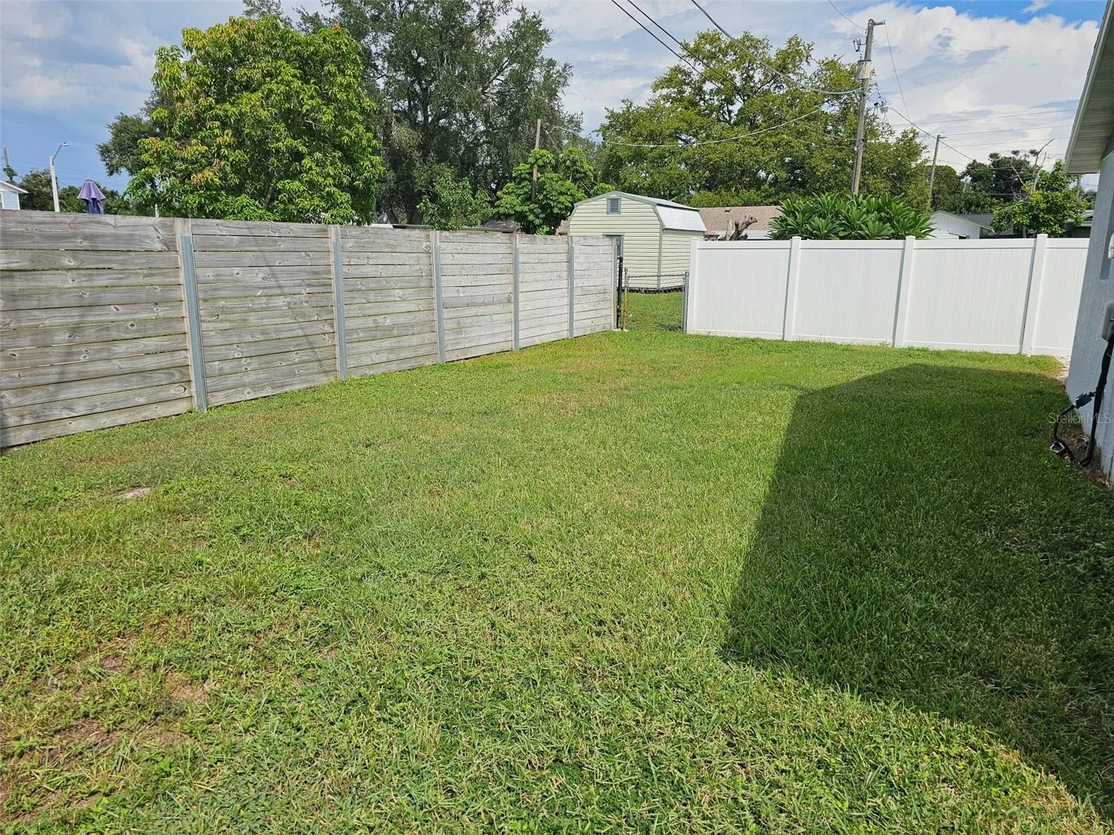 Back yard