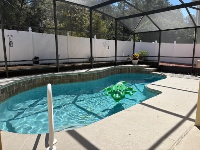 Another view of the pool -- don't worry the Gator is friendly!