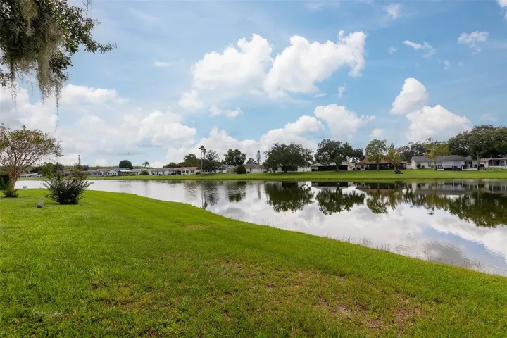 Back Yard Pond View