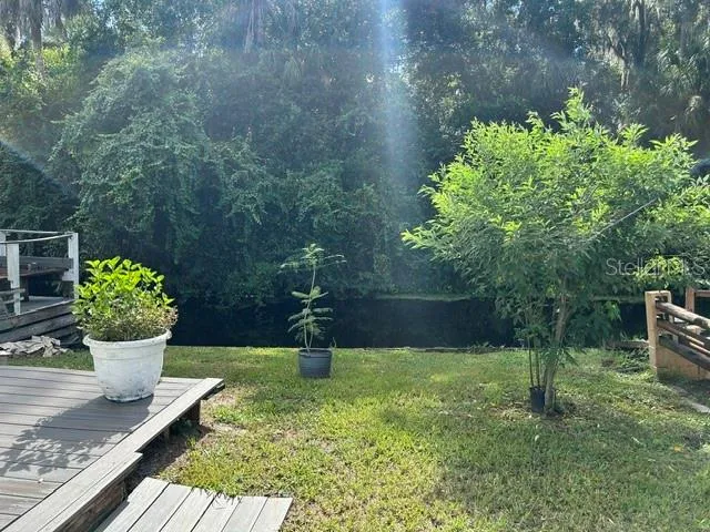 Yard