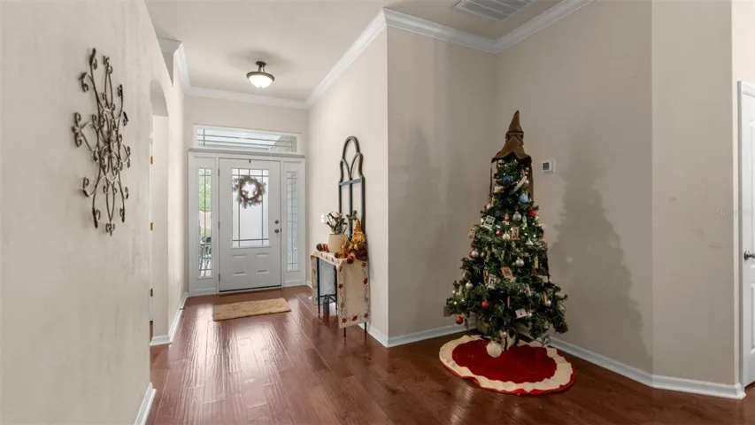 Harry Potter Tree