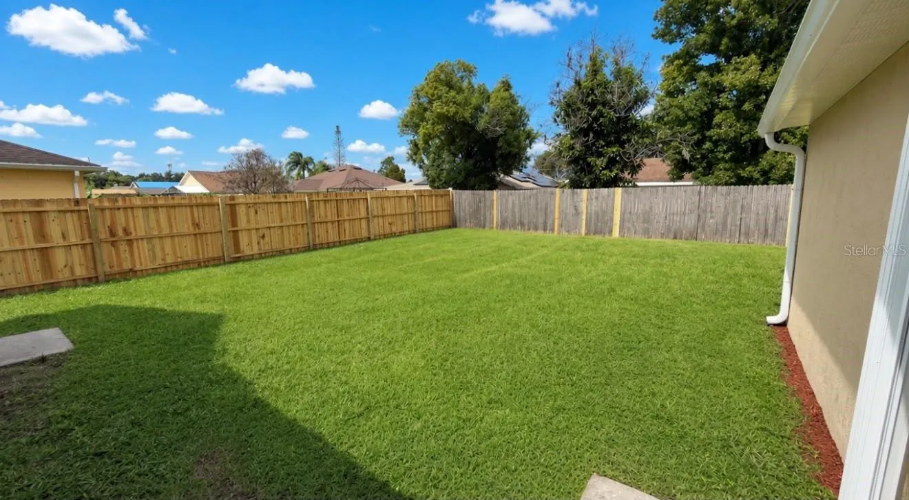 Back yard 5