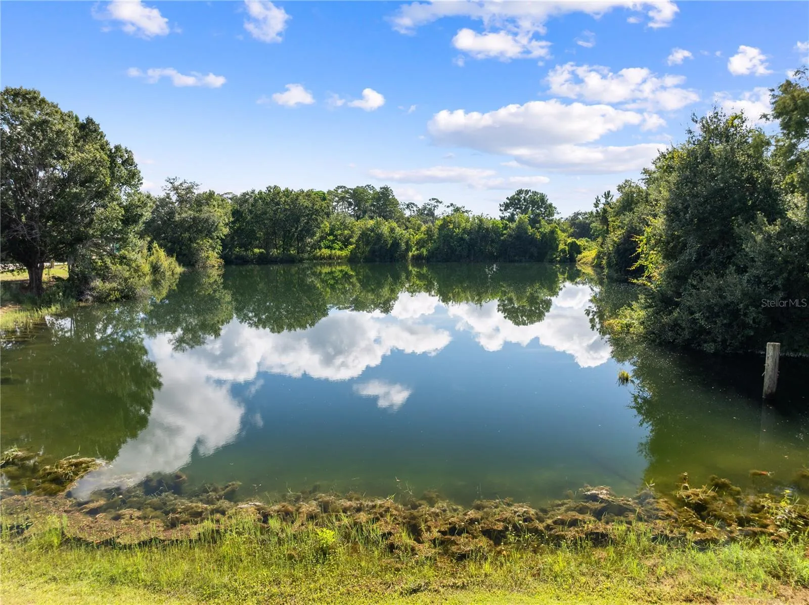 Spring Fed pond perfect for fishing.