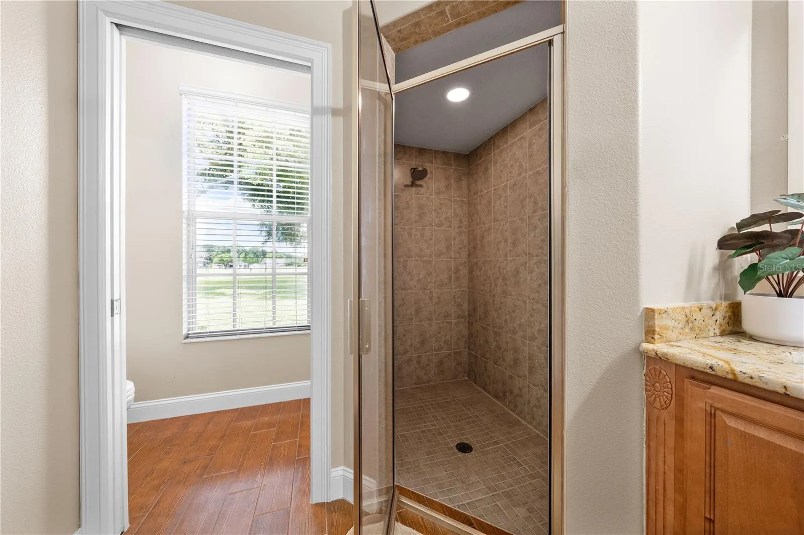 Primary Bathroom has a shower with rain-style showerhead and private door for the toilet.