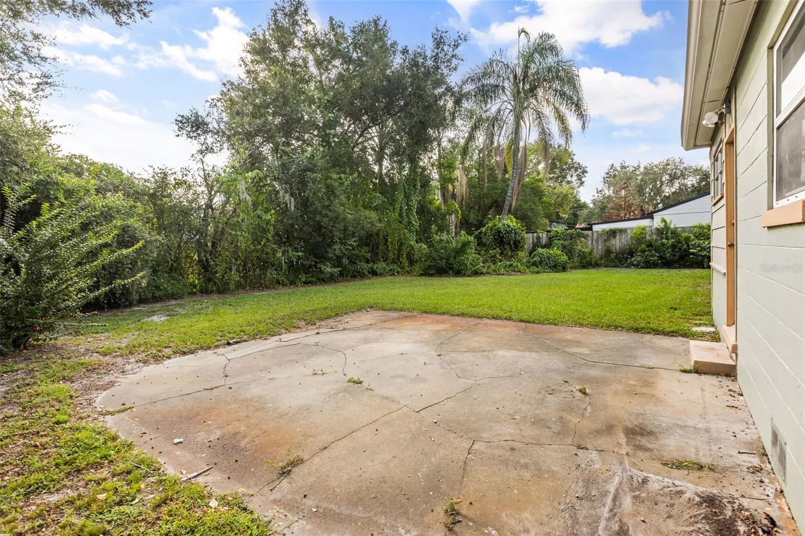 Backyard