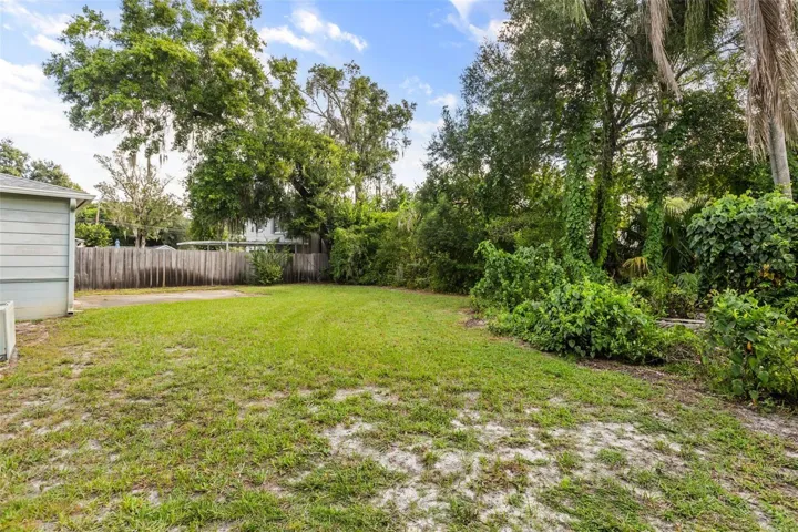 Backyard