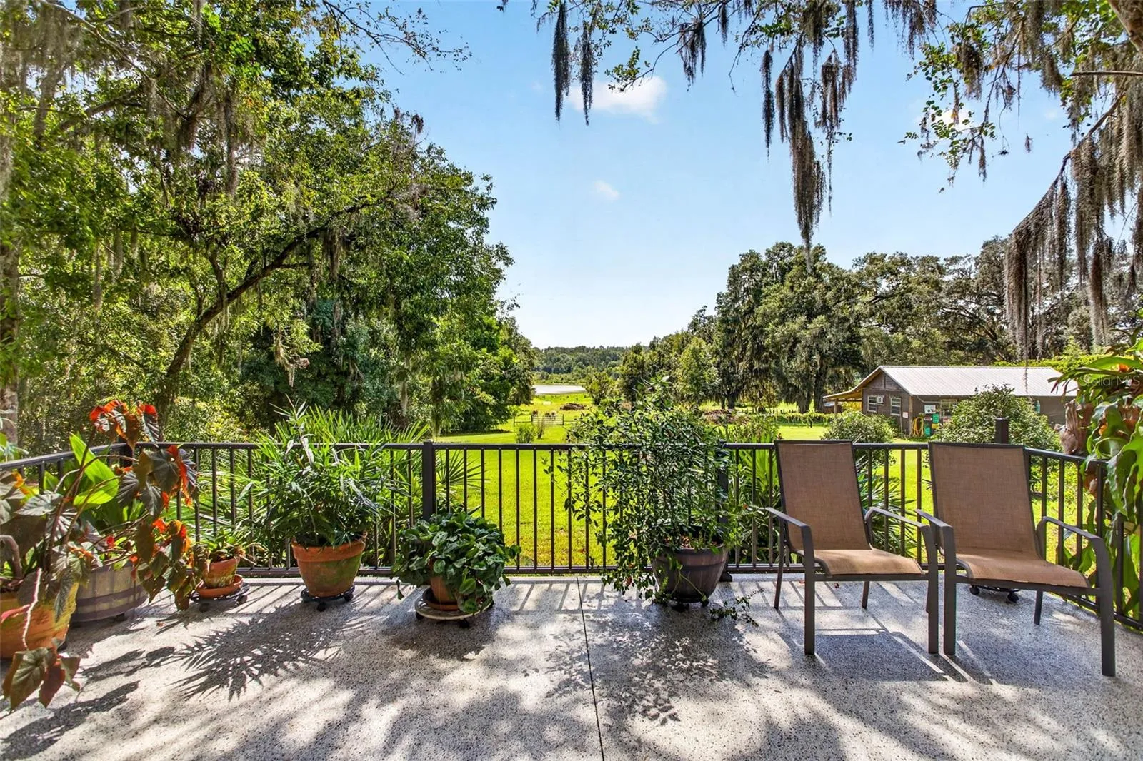 Backyard Lake View