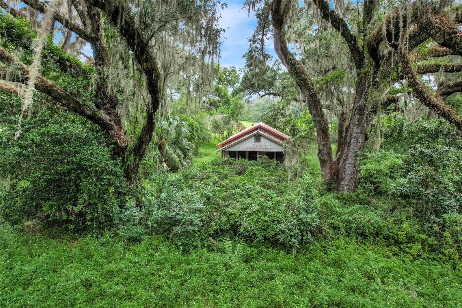 Old Florida